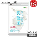 \ポイント20倍/有胞子性乳酸菌ソフトカプセル★〓≪約1ヵ月分≫■ネコポス送料無料■代引・日時指定不...
