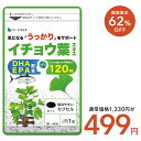 【7/2開始★タイムセールで499円】イチョウ葉エキス(約1ヶ月分)ネコポス送料無料 サプリ イチョウ葉 サプリメント DHA EPA