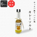 【公式】【送料無料】パンに塩 カレー6本セット 180g(30g×6本) シーズコア シーズコア 調味料 塩 朝食 朝ご飯 ブレッド トースト 食パン セット ...