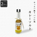 【公式】パンに塩 カレー2本セット 60g(30g×2本) シーズコア シーズコア 調味料 塩 朝食 朝ご飯 ブレッド トースト 食パン セット ギフト プレゼ...