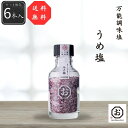 【送料無料】【公式】【しお八】うめ塩6本セット 570g(95g×6本) シーズコア 調味料 塩 梅 料理 食 セット ギフト プレゼント 和塩 ソルト フレー...