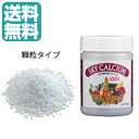 送料無料 スカイカルシウム顆粒 130g スカイ・フード |