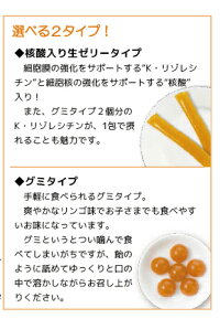 【2箱ご購入で書籍プレゼント】NextKネクストケイ核酸入り生ゼリー30包入り2箱+書籍「ゆるんだ人からうまくいく。」KリゾレシチンリゾレシチンK-リジレシチン野本裕子神津健一ナチュラルクリニック代々木ブレインフードNextK送料無料ф