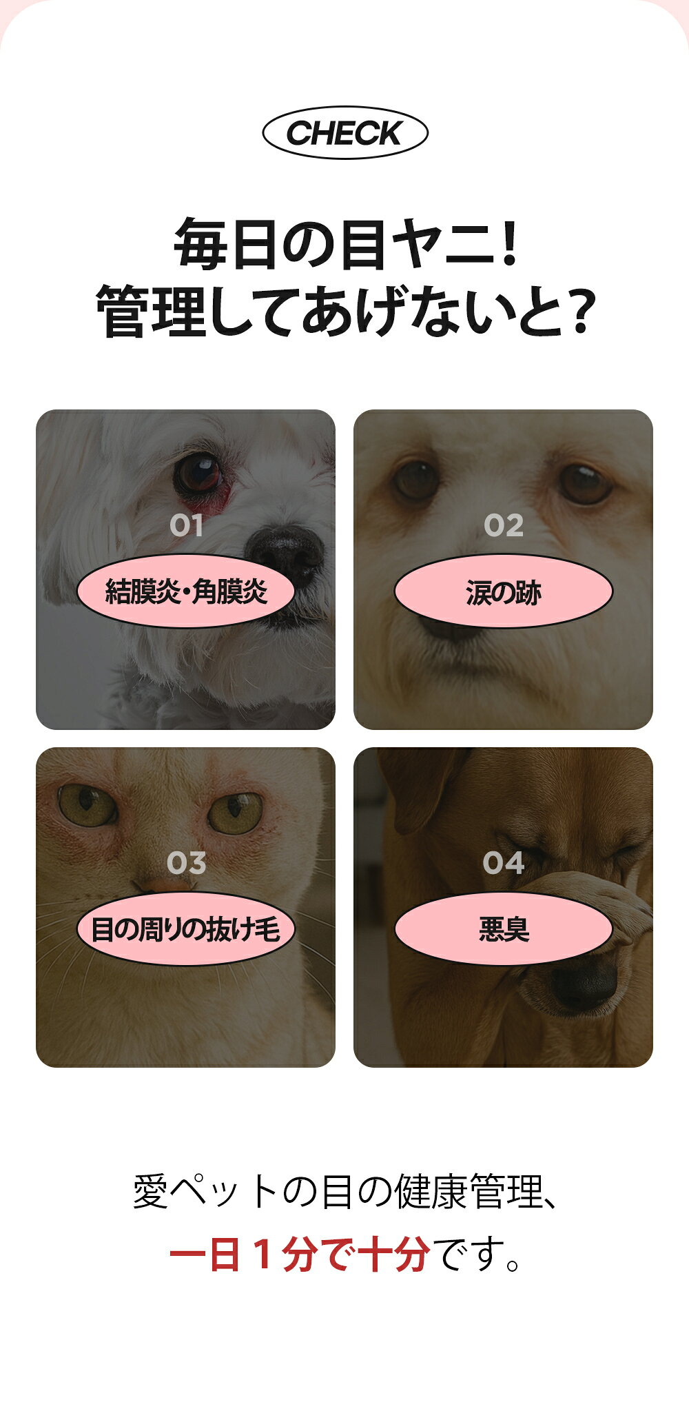 サンプル画像3