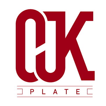 OJK CARVING PLATE ジョイントボルトステンレス ALPINE【カービング スノーボード プレート アルペン ステンレス 】