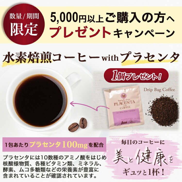 セガフレード コーヒー ドリップコーヒー ブレンドコーヒー エスプレッソ 珈琲 粉 アラビカ 100% スペシャルティ 手土産 差入れ おしゃれ おいしい ギフト ドリップパッグ 高級アラビカ 個包装 パウダー 東京オリジナル ブレンド 8g × 5袋