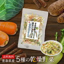 【送料無料】 乾燥野菜 みそ汁の具 国産 48g 乾燥野菜ミックス 国産野菜 スープ 野菜ミックス 長芋 大根 にんじん キャベツ ごぼう ドライ野菜 干し野菜...