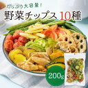 野菜チップス 10種 200g 野菜スナック 乾燥野菜 カラダにおいしい 業務用 こども お菓子 おかし おやつ 野菜 チップス スナック 大容量 たっぷり ヘルシー おやつ