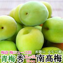 青梅 紀州みなべ産 南高梅 秀品 サイズ...