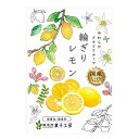 南信州菓子工房　輪ぎりレモン　24g×20個