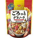 日清シスコ　ごろっとグラノーラ　5種の彩り果実　400g×6個