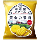 湖池屋 湖池屋ファーム 黄金の果肉 焼き塩 55g×12個×2セット 駄菓子/スナック菓子/スナック駄菓子/おやつ/ポテトチップス/じゃがいも