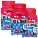 UHA味覚糖 UHAグミサプリ 鉄&葉酸 ボトル 30日分×3個