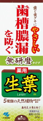 小林製薬 生葉　薬用ハミガキ　無研磨タイプ 95g×96個【送料無料】【オーラル】【歯磨き】【歯ブラシ】