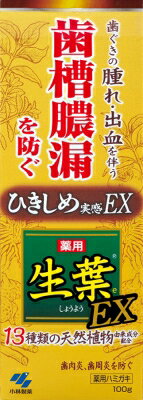 小林製薬 生葉EX　100g 100g×96個【送料無料】【オーラル】【歯磨き】【歯ブラシ】