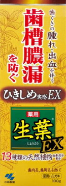 【訳あり・在庫処分】小林製薬 生葉EX　100g [T100]