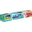 リード冷凍冷蔵保存バック L×24個