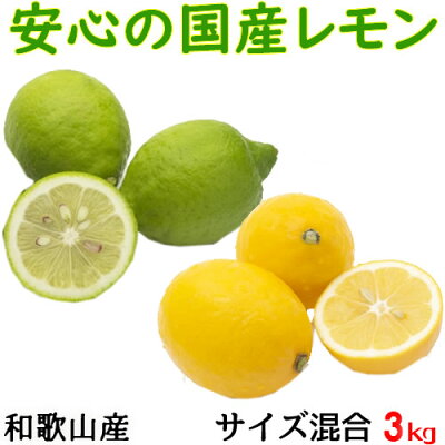 国産レモン秀品約3kg(サイズ混合)和歌山県産【送料無料】檸檬れもんグリーンレモン
