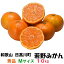 「若野みかん」10kg・秀品・Mサイズ 【送料無料】【味が濃く深みある甘さでリピーター続出】紀州和歌山県日高郡日高川町(旧川辺町)の若野産 温州ミカン