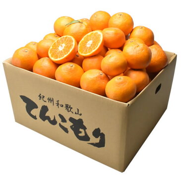 ☆限定特価☆ 訳あり和歌山みかん 10kg 3S〜3Lサイズ【送料無料】サイズ混合もしくはサイズ統一・キズ・他【みかん 10kg 送料無料 訳あり/わけあり】
