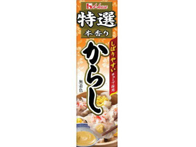 ハウス食品 特選本香りからし42g ×120個【送料無料】