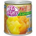はごろも甘みあっさりパイミン5号缶 295g×24個×2セット