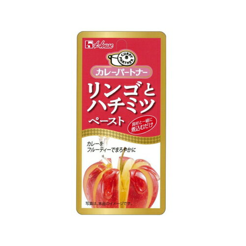 ハウス食品 カレーパートナーリンゴとハチミツ 40g×10個