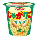 カルビー じゃがりこ サラダ 57g×12個×2ケース