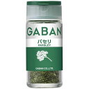 GABAN　ギャバン4gパセリ　×5個×2セット