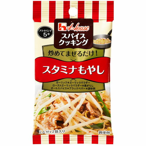 【訳あり・在庫処分】ハウス食品 スパイスクッキング<スタミナもやし>9.2g(4.6g×2袋)×10個×2セット※賞味期限2027年2月