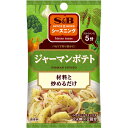 ヱスビー食品　S＆B　SPICE&HERBシーズニング　ジャーマンポテト（9g：2人前×2回分）×10個×2セット