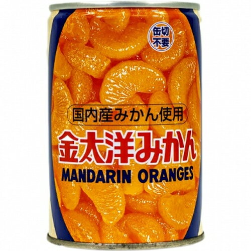 はごろもフーズ 国産みかん 295g 24個（1ケース）宅配100サイズ