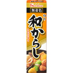 ハウス食品　ねり和からし（43g）×10個×2セット