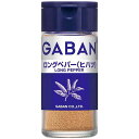 GABAN　ギャバン22gロングペパー（ヒハツ）×5個×2セット