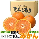 【全商品P10倍 9/20(火)0:00〜23:59】（予約）訳あり和歌山みかん 10kg 3S〜3Lサイズ【送料無料】サイズ混合もしくはサイズ統一・キズ・他【みかん 10kg 送料無料 訳ありみかん/わけあり】