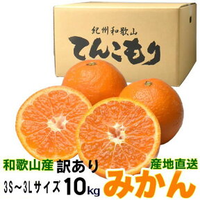 訳あり和歌山みかん 10kg（箱込約10kg）3S～3Lサイズ【送料無料（北海道・沖縄以外）】サイズ混合もしくはサイズ統一・キズ・シワ・他【みかん 10kg 送料無料 訳ありみかん/わけあり】