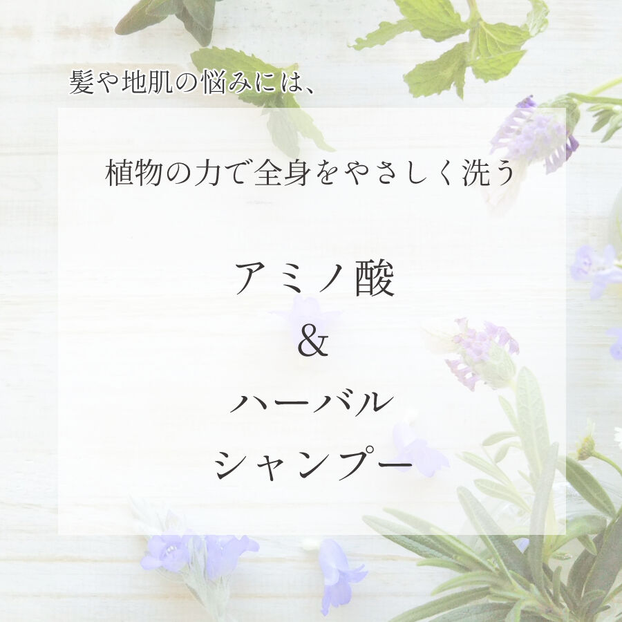 ＼ お買い物マラソンポイント10倍 ／ APローション 15ml お試しサイズ 敏感肌 混合肌 オイリー肌 乾燥 毛穴 素肌 保湿 メンズ エイジングケア さっぱり スプレー ユーカリ アミノ酸 アルコールフリー パラベンフリー グリセリンフリー 母の日 3