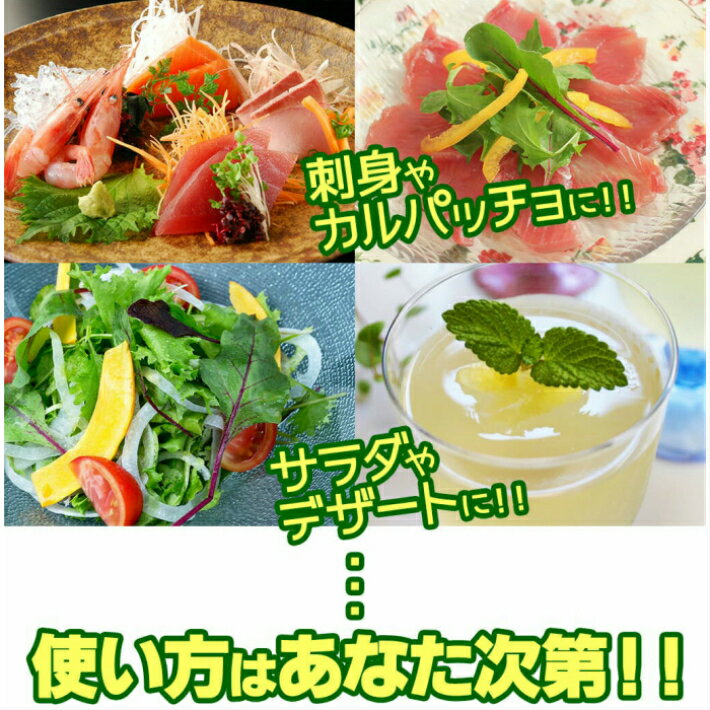 SALE������ ����������� �̽�100�� 200ml��1��/���ڤ� ����������� �̽�100 ���塼�� ���̷� �Υӥ���� �̽�100�� �������������� ���� ���� �򹯥ɥ�� �������å� ������� ���컺 ��̣���� �����­ £��ʪ �ץ쥼��� ������ ��