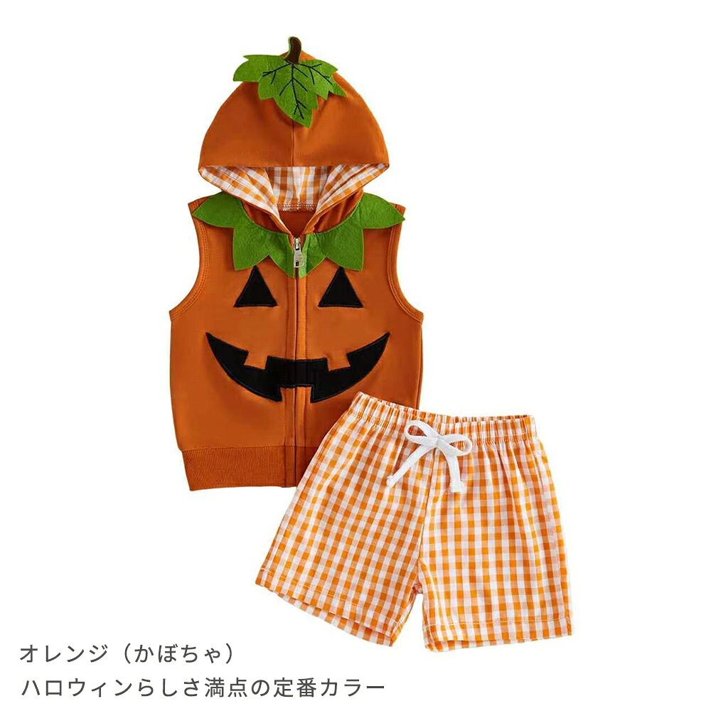 スウェット ハロウィン コスプレ 衣装 仮装 子供 ベビー トレーナー キッズ コスチューム お化け かぼちゃ かぼちゃ モチーフ ベビー服 上下セット フード付き ベスト ギンガムチェックパンツ 秋冬 赤ちゃん 出産祝い ギフト 記念写真 seibii-10002764 せいび サンプル画像3