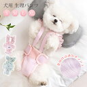 犬用 生理パンツ 女の子 サニタリーパンツ マナーパンツ 可愛い 生理用品 介護 オムツ 犬の尿失禁対策 小型犬 中型犬 猫 高齢犬 発情期 月経期 ペットウエ...