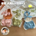 春夏 犬服 レース フリル キャミソール ロンパース SNS映え 可愛い スカーフ 2点セット 撮影 写真 ペット服 小型犬 中型犬 子犬 洋服 ドッグウエア ...