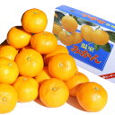 化粧箱 愛媛県産 ハウスみかん Mサイズ24玉・Sサイズ30玉 【みかん/ミカン/蜜柑】