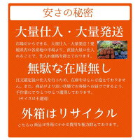 【訳あり】/愛媛県産河内晩柑約10kg/(美生柑・宇和ゴールド)【送料無料】和製グレープフルーツ