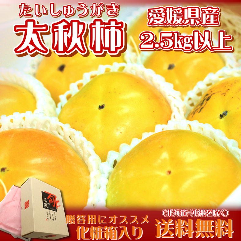 【化粧箱】愛媛県産 太秋柿 約2.5kg 北海道・沖縄別途送料1000円のサムネイル