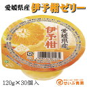 愛媛県産 伊予柑ゼリー 30個入ゼリー Jelly