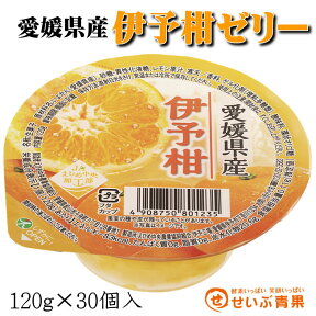 愛媛県産 伊予柑ゼリー 30個入【いよかん】ゼリー Jelly