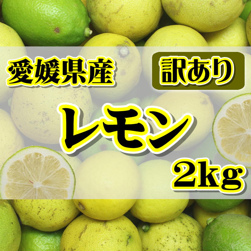 訳あり レモン 国産 約2kg +200g補償 愛媛県産 れもん 【ワックス・防腐剤不使用】