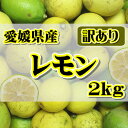 国産 レモン 約2kg　愛媛県産（れもん)北海道・沖縄別途送料1000円