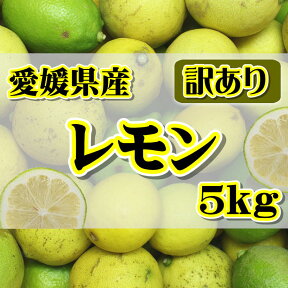 【訳あり】国産 レモン 約5kg　愛媛県産（れもん)【ワックス・防腐剤不使用】北海道・沖縄別途送料1000円