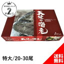 ! 特大 天使の海老 1kg 20〜30尾入り 誕生日 プレゼント 出産 内祝い ギフト 刺身 冷凍 通販 生食 化粧箱 海老しゃぶ 海鮮丼 海老 えび エビ ...